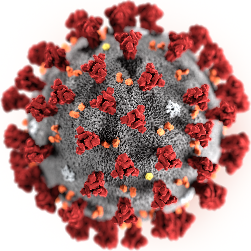 Virus. Image by PublicDomainPictures from Pixabay